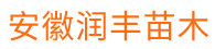 安徽寿县菠萝视频免费菠萝视频免费下载种植有限公司